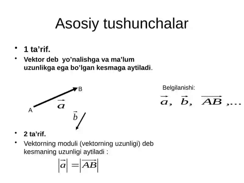 VektorVektorlarningchiziqlikombinasiyasilar 3