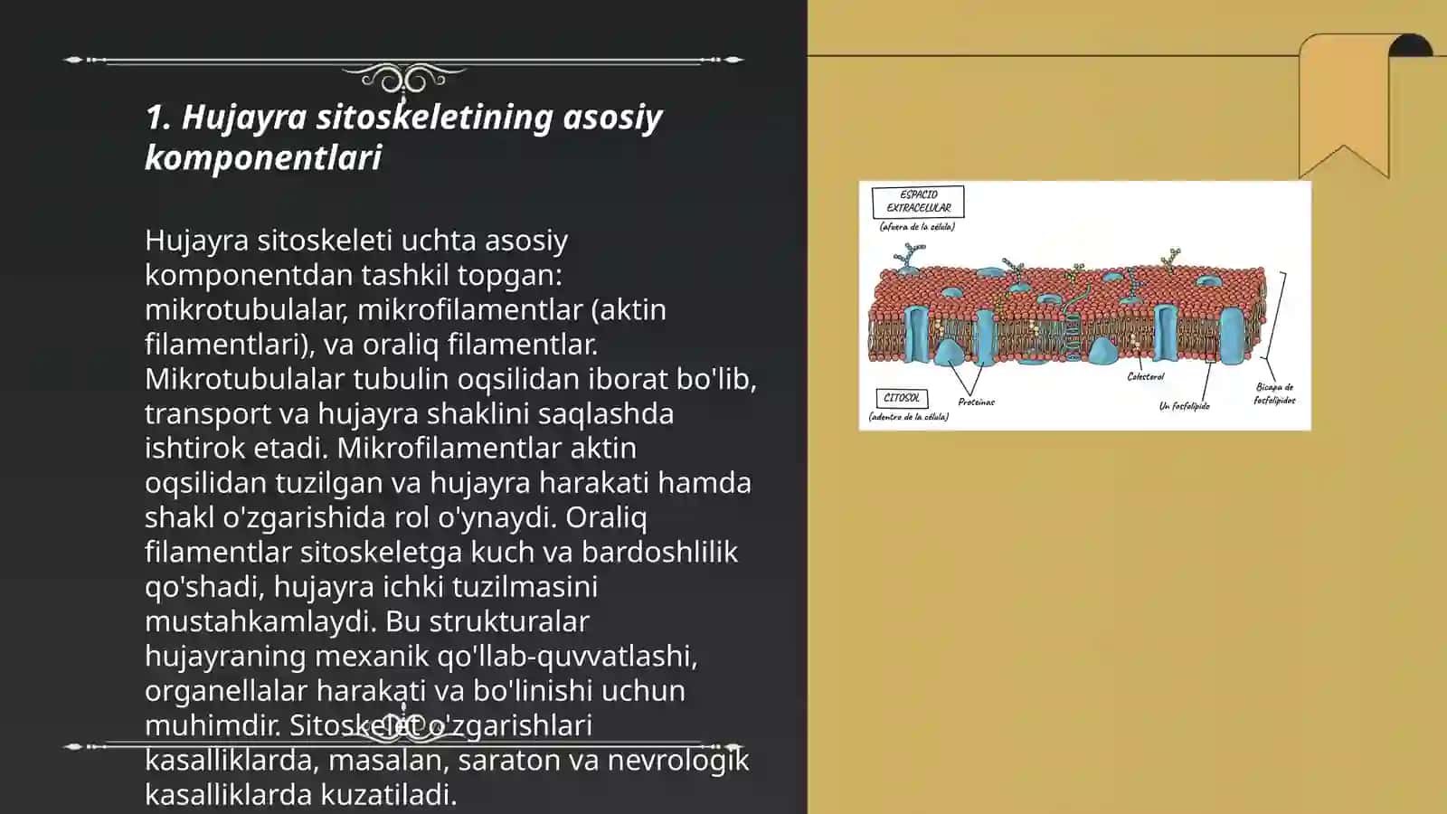 Hujayra sitoskeleting strukturaviy va funksional tashkil etilishi. Hujayradagi transport jarayonlari 3