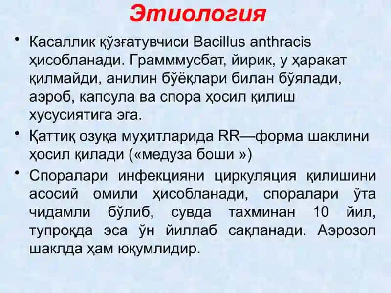 Куйдирги (Anthrax) 3