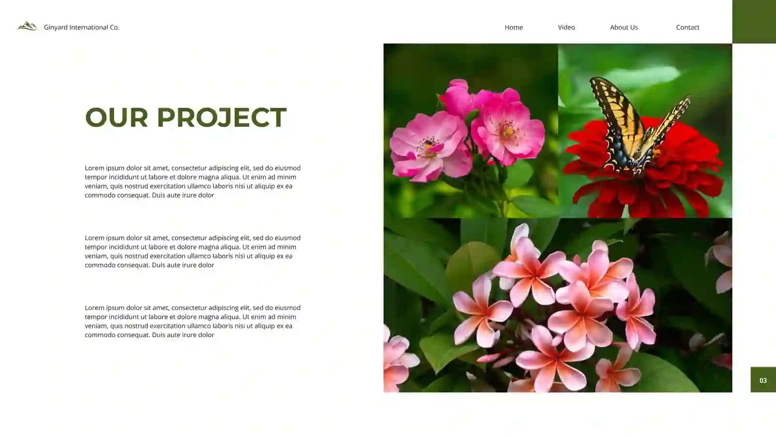 NATURE 3