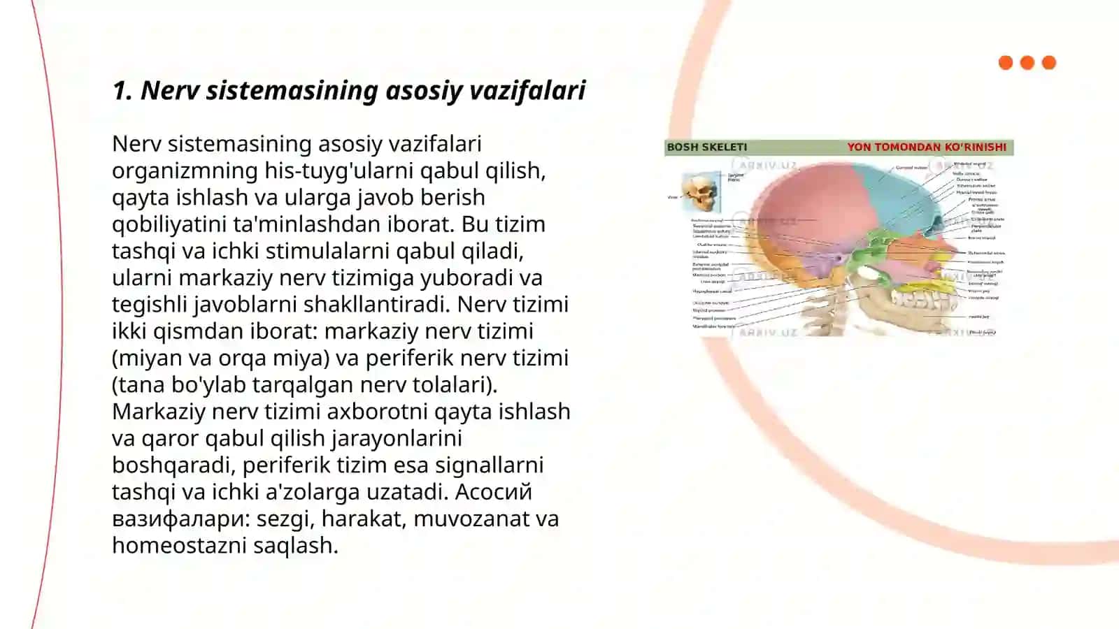 Nerv sistemasining ahamiyati va gigiyenasi 3