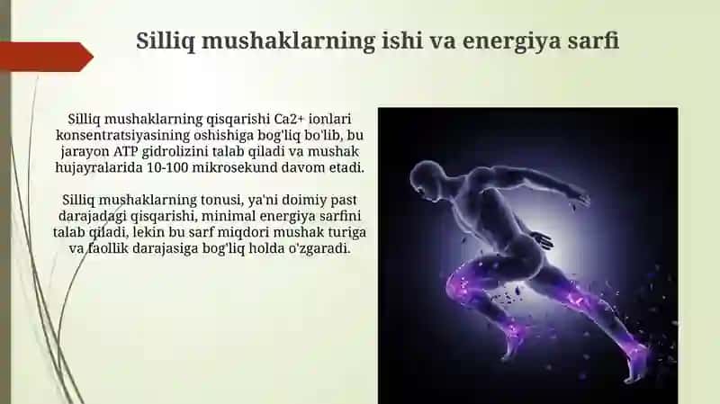 Mushak kuchi va ishi.Silliq mushaklar fiziologiyasi 3