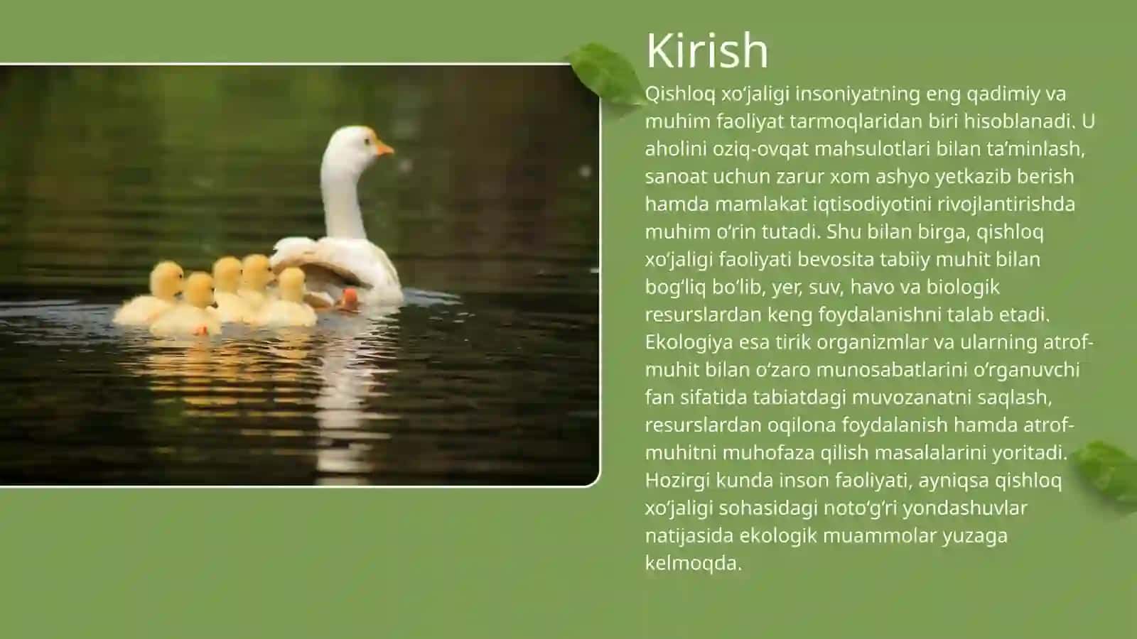 QISHLOQ XO‘JALIGI VA EKOLOGIYA 3