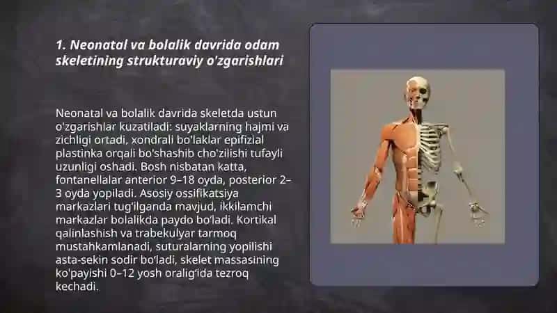 Yoshning anatomik va fizioligik tuzilishi 3
