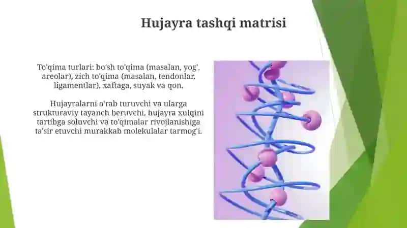To'qimalar turlari 3