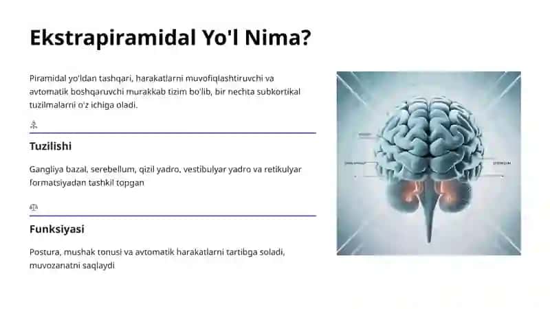 Piramidal va Ekstrapiramidal Yo'llar 3