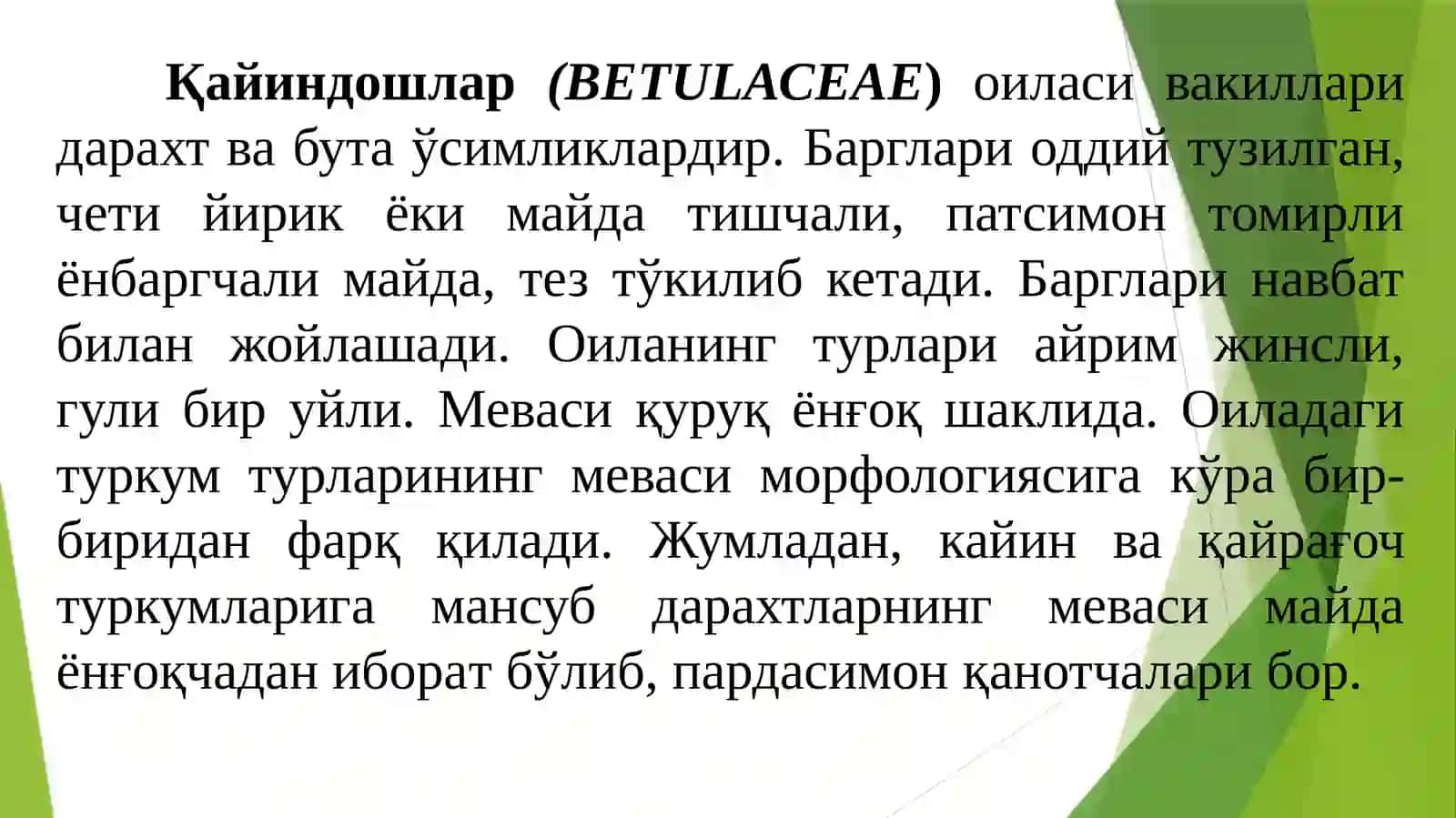 ҚАЙИНДОШЛАР(ВЕТULАСЕАЕ) ОИЛАСИдоривор ўсимликлари 3