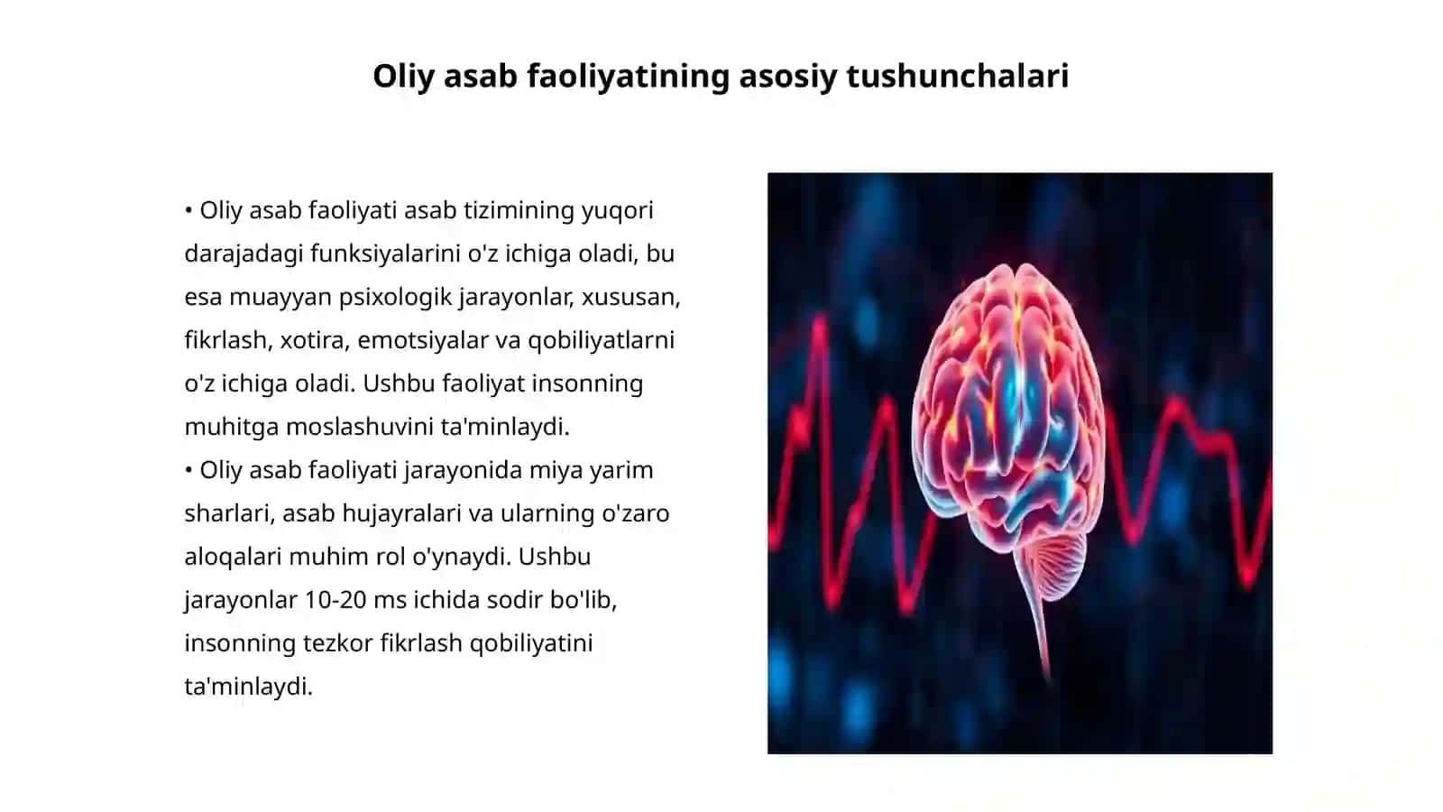 Oliy asab faoliyati. Miya yarim sharlari fiziologiyasi 3