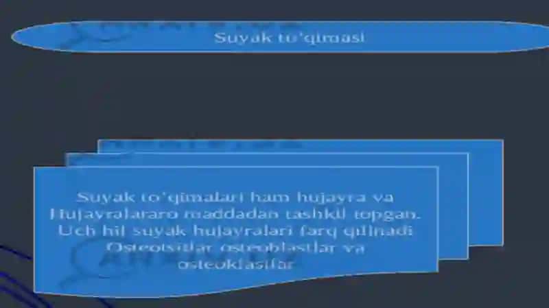 Sayak tòqimalari 3