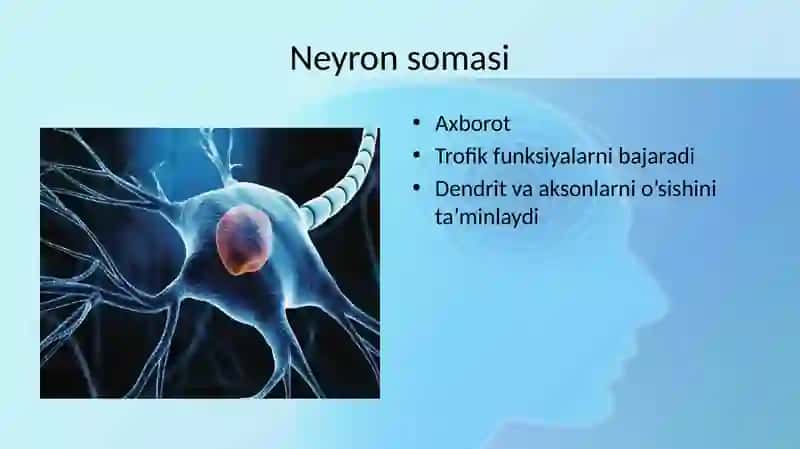 Neyron 3