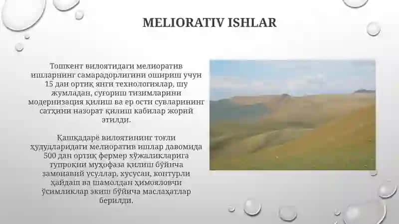 Togʻli va togʻoldi mintaqasi tuproqlari geografiyasi va uning muhofaza qilish 3