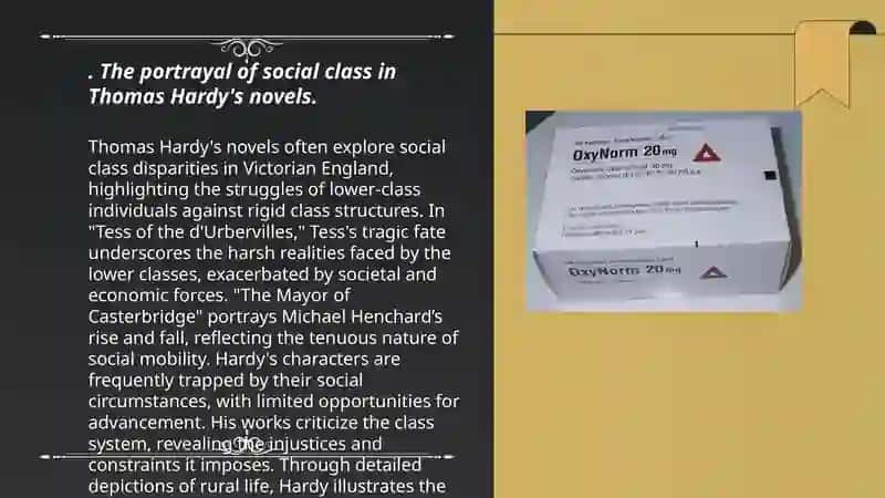 Thomas Hardy's Novels 3