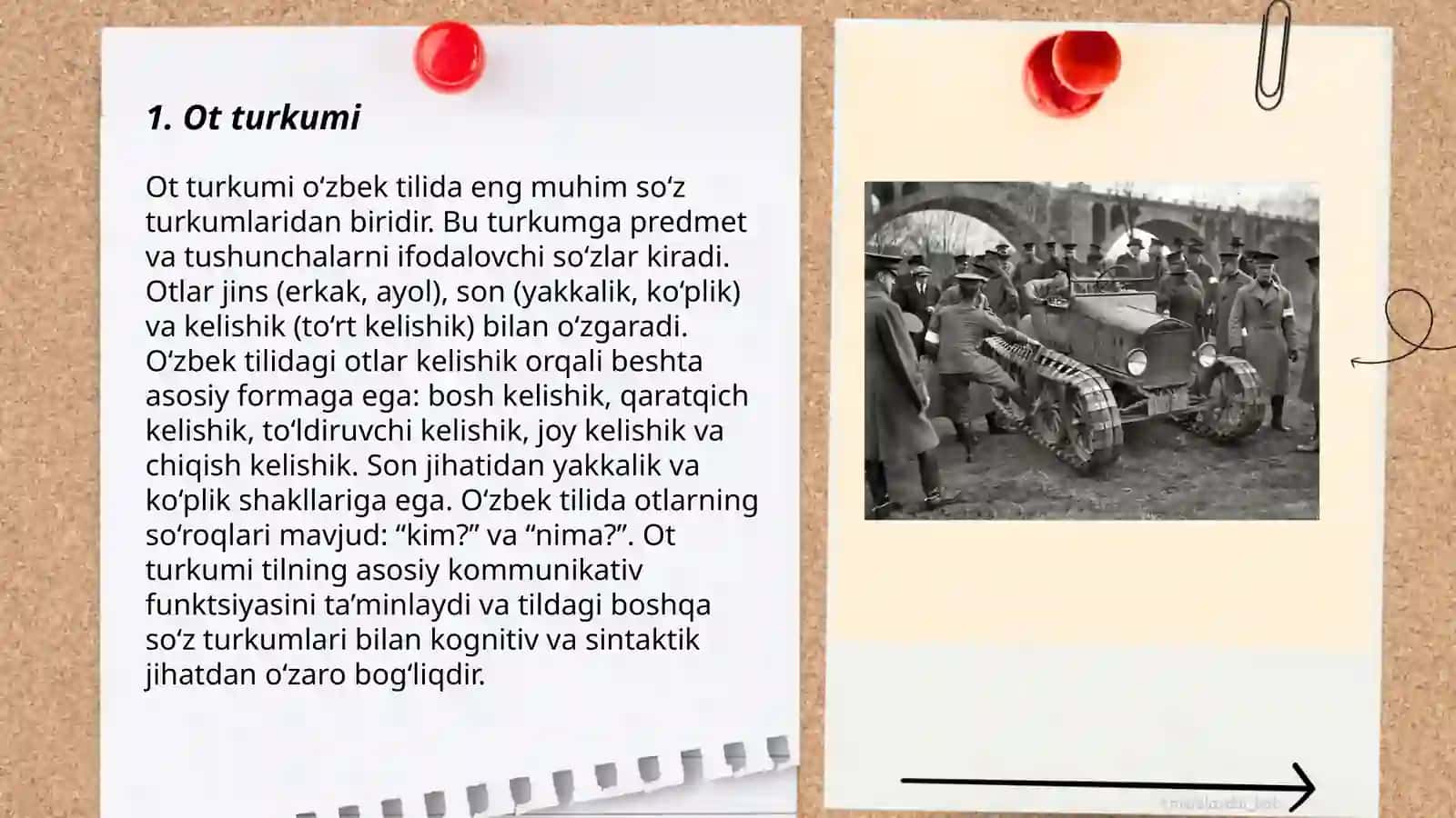 Ot turkumi 3