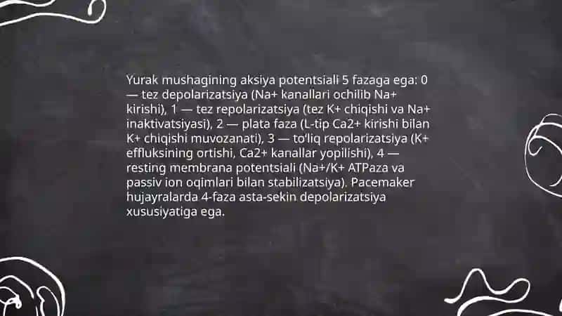 Yurak mushagining qoʻzlaluvchanlik oʻtkazuvchanlik va qisqaruvchanlik xususiyati 3