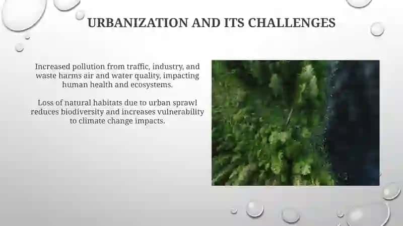 Human and environment 3