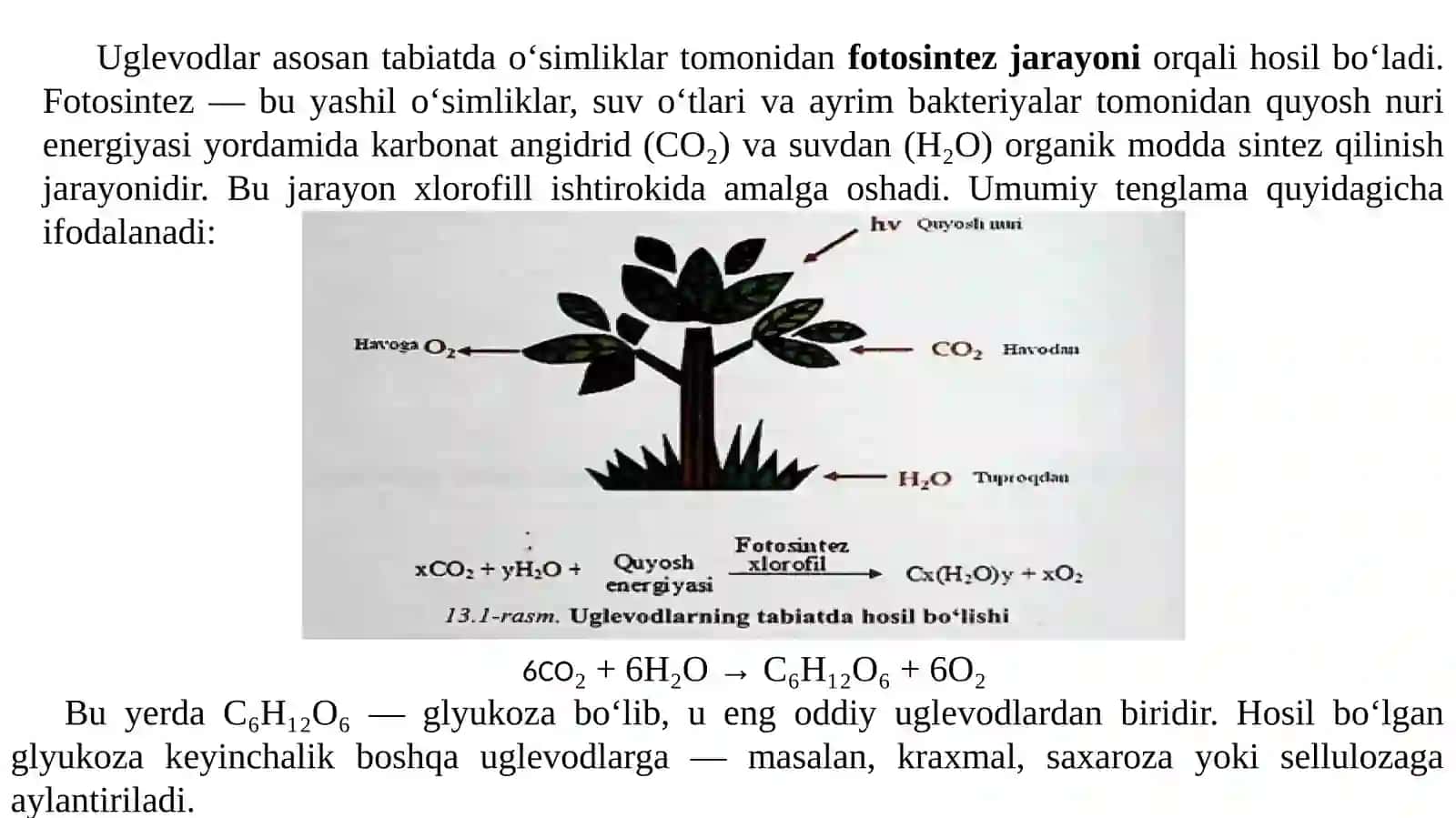 Uglevodlar 3