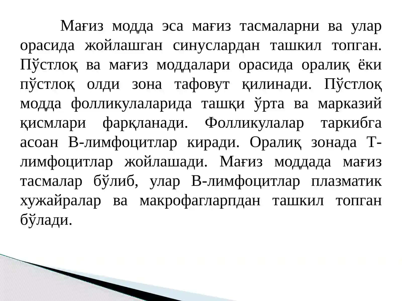 Лимфа тугунлари 3