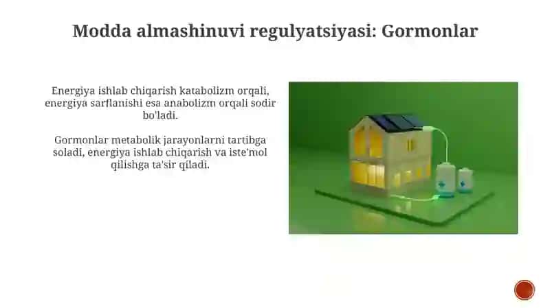 Metabolizm jarayonida energiya hosil bolishi va sarflanishi 3