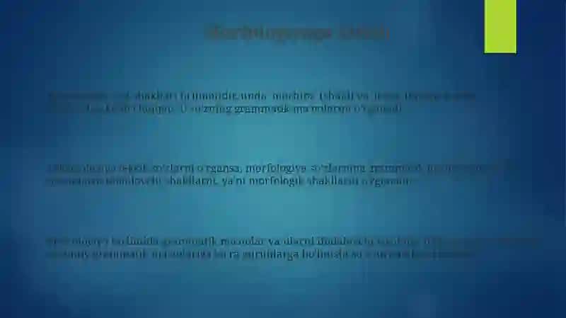 Morfologiya 3