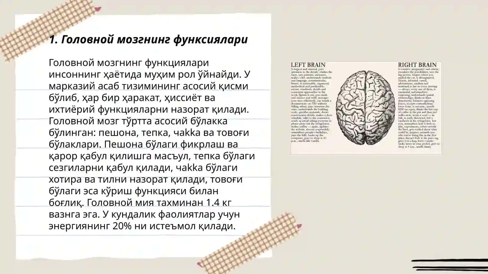 Головной мозг.Стили речи 3