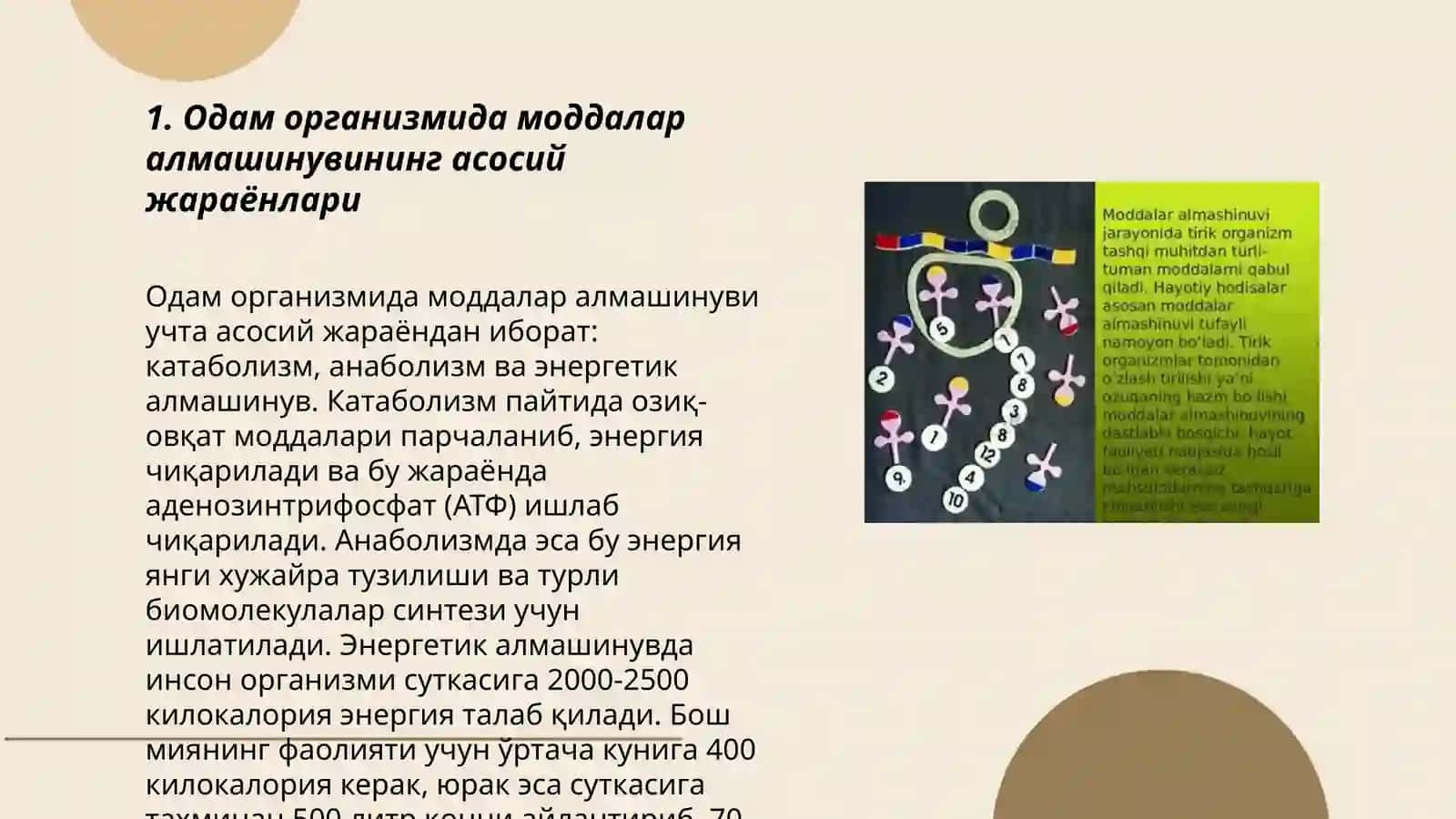Одам организмида моддалар алмашинуви 3