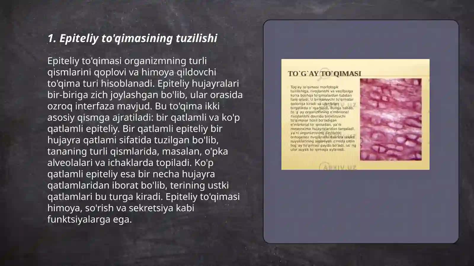 Epiteliy va qon to'qimasi 3
