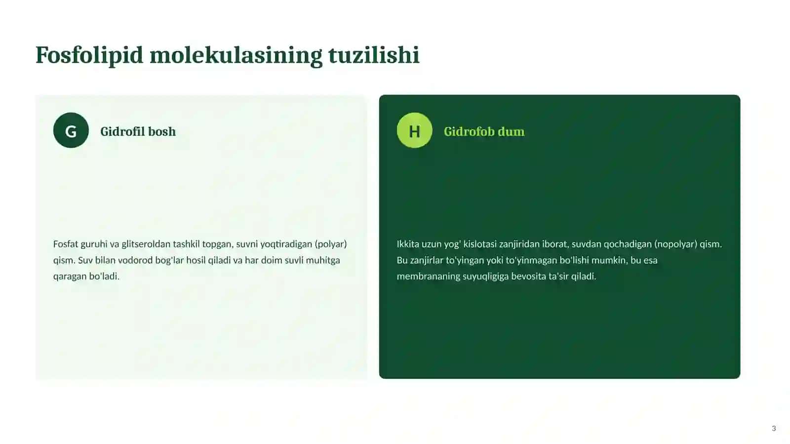 IKKI QAVATLI LIPID MEMBRANALARI 3