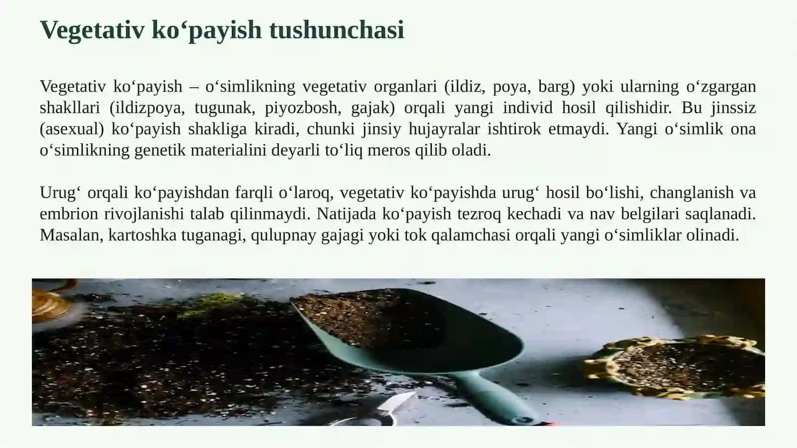 O‘SIMLIKLARDA VEGETATIV KO‘PAYISH USULLARI VA ULARNING BIOLOGIK AHAMIYATI 3
