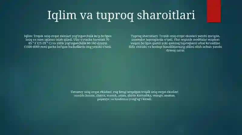 Tropiklarda Tarqalgan Oziq-Ovqat O'Simliklari 3