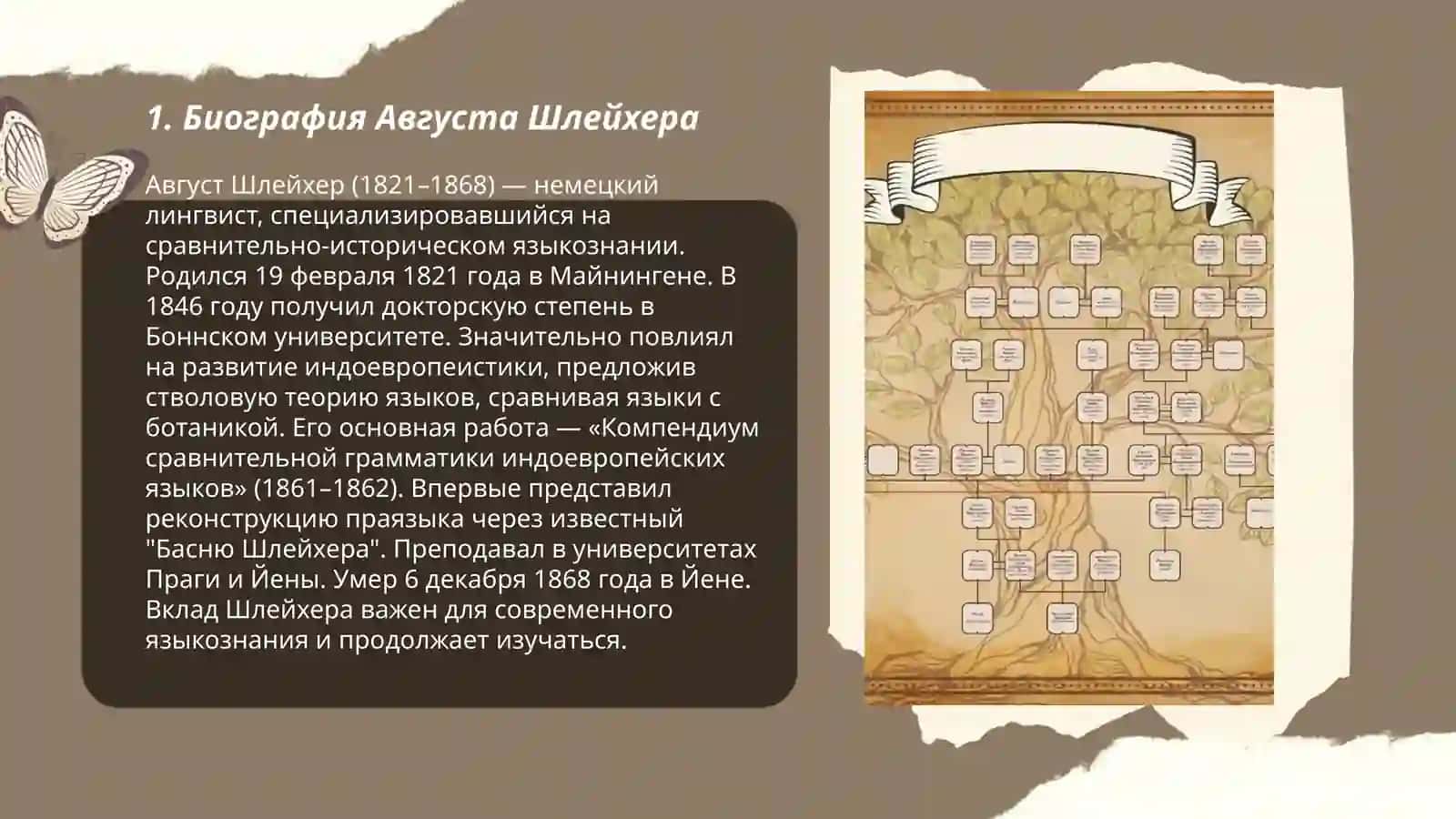 Жизни вклад мавзуси 3