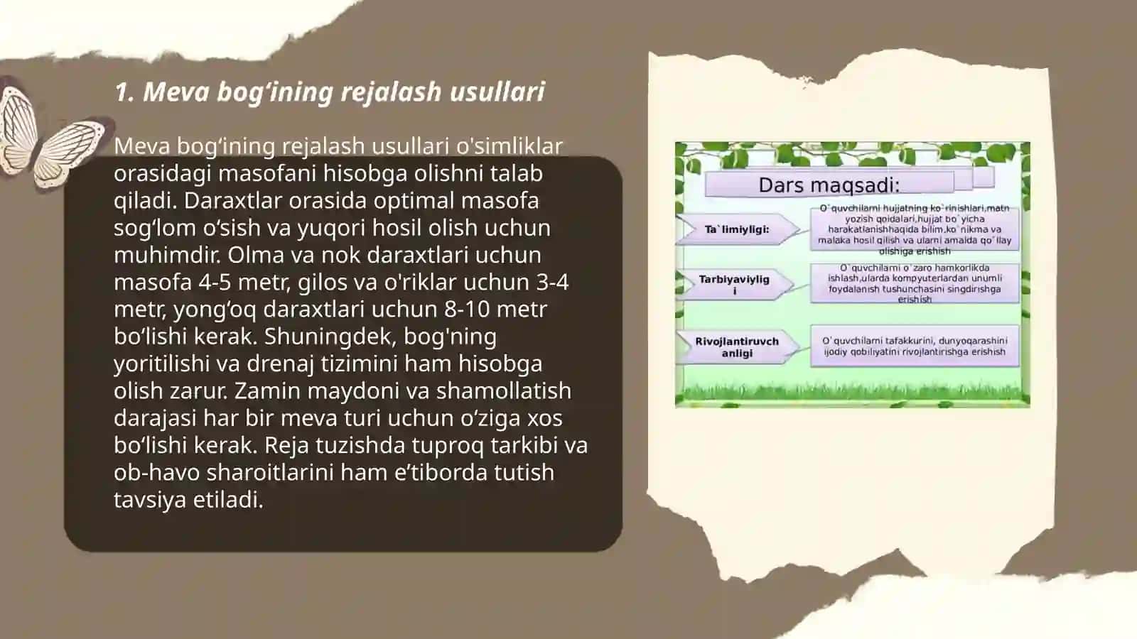 Meva bogʻlari maydonini rejalash va meva daraxtlarining koʻchat qalinligini, koʻchat sonini hisoblash va ekish tartibi bilan tanishish 3