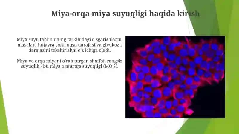 oshqozozn suyuqligi taxlili va uning tahlili 3