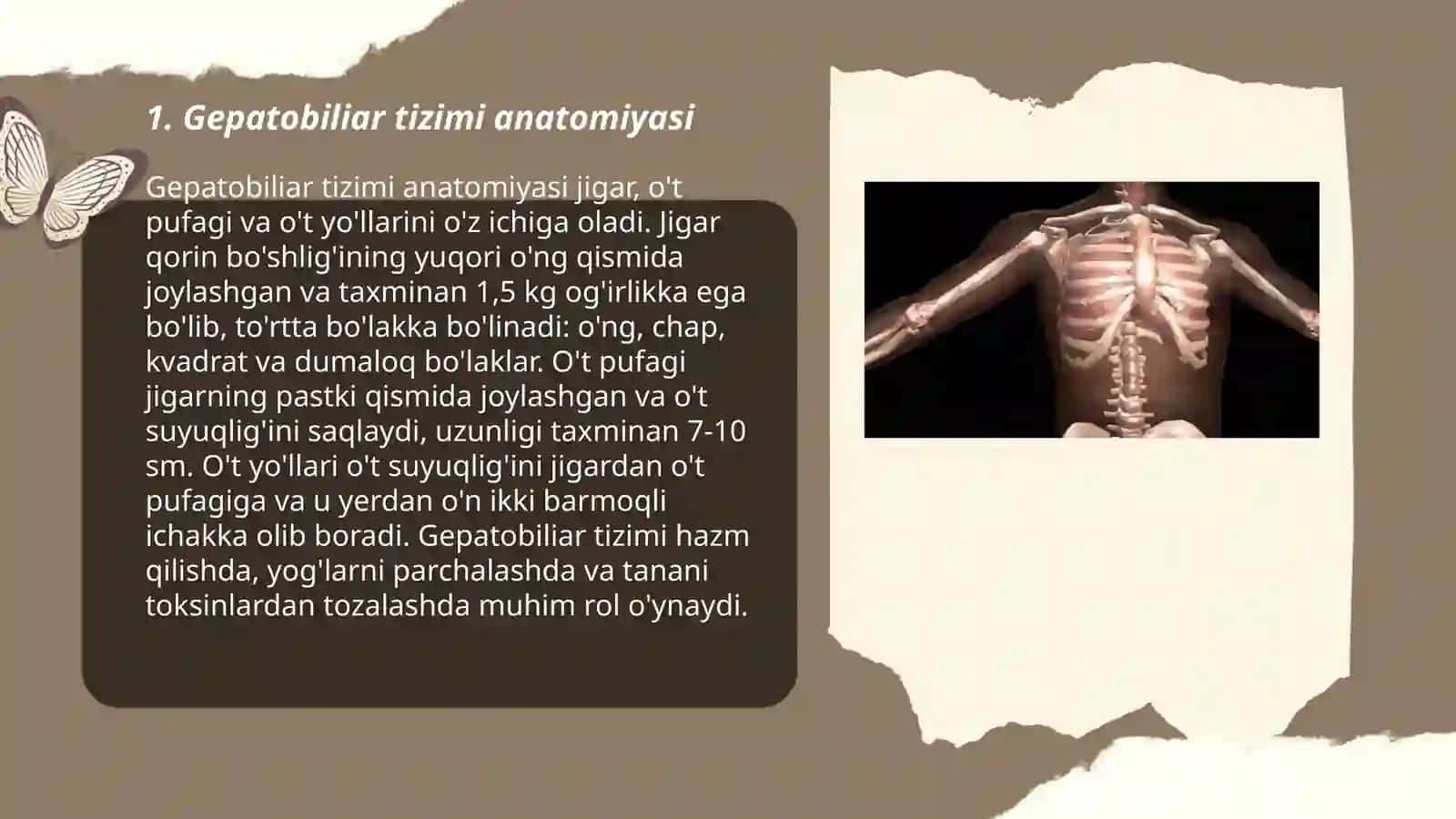 Gepatobiliar joylashuvi o'smasi.Jigar saratoni 3
