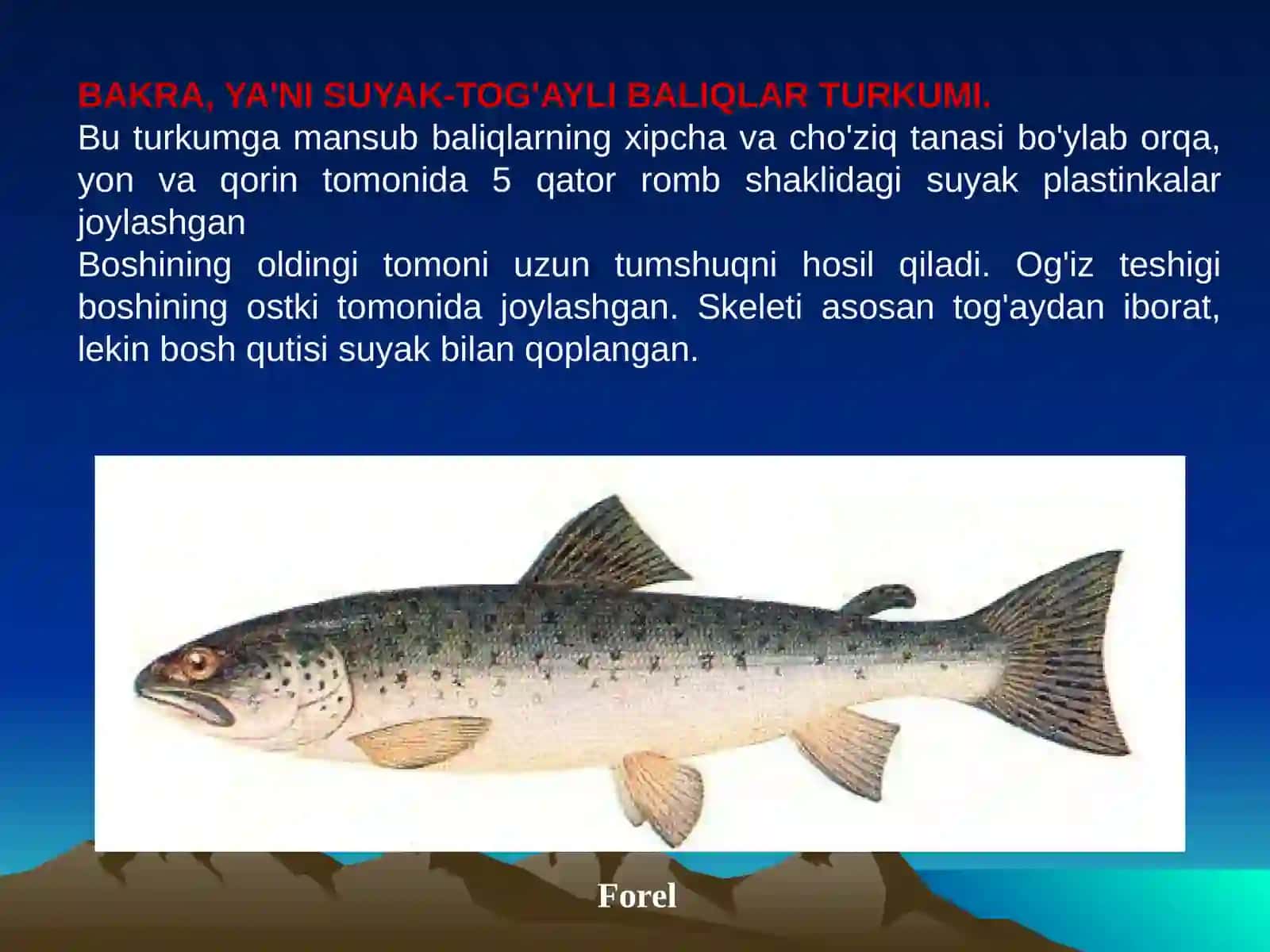 Forel 3