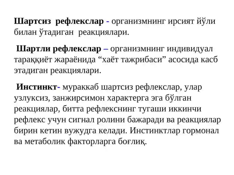 Олий асаб фаолияти (ОАФ) 3
