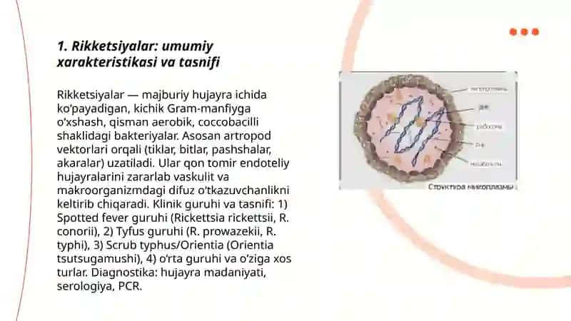 Rikketsiyalar 3