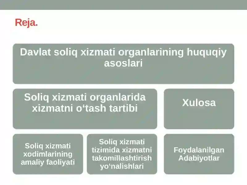 O‘zbekiston Respublikasi davlat soliq xizmati organlarida xizmatni o‘tash 3