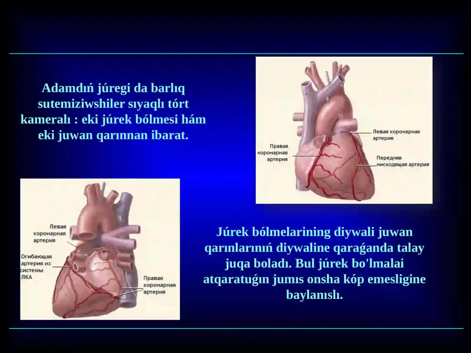 JUREK 3