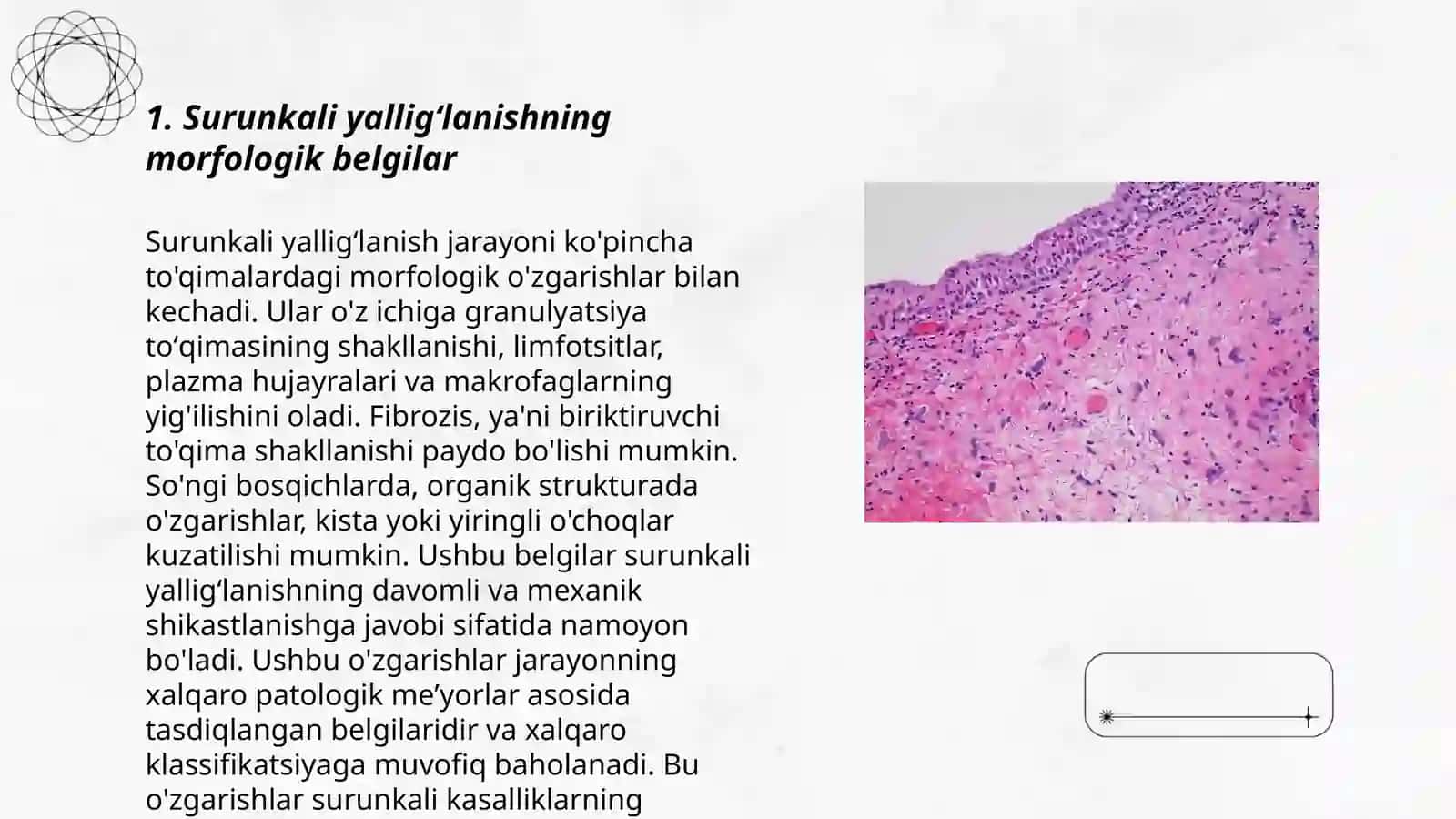 Xalmuradova Nilufarning patologik anatomiya fanidan mustaqil ish 3