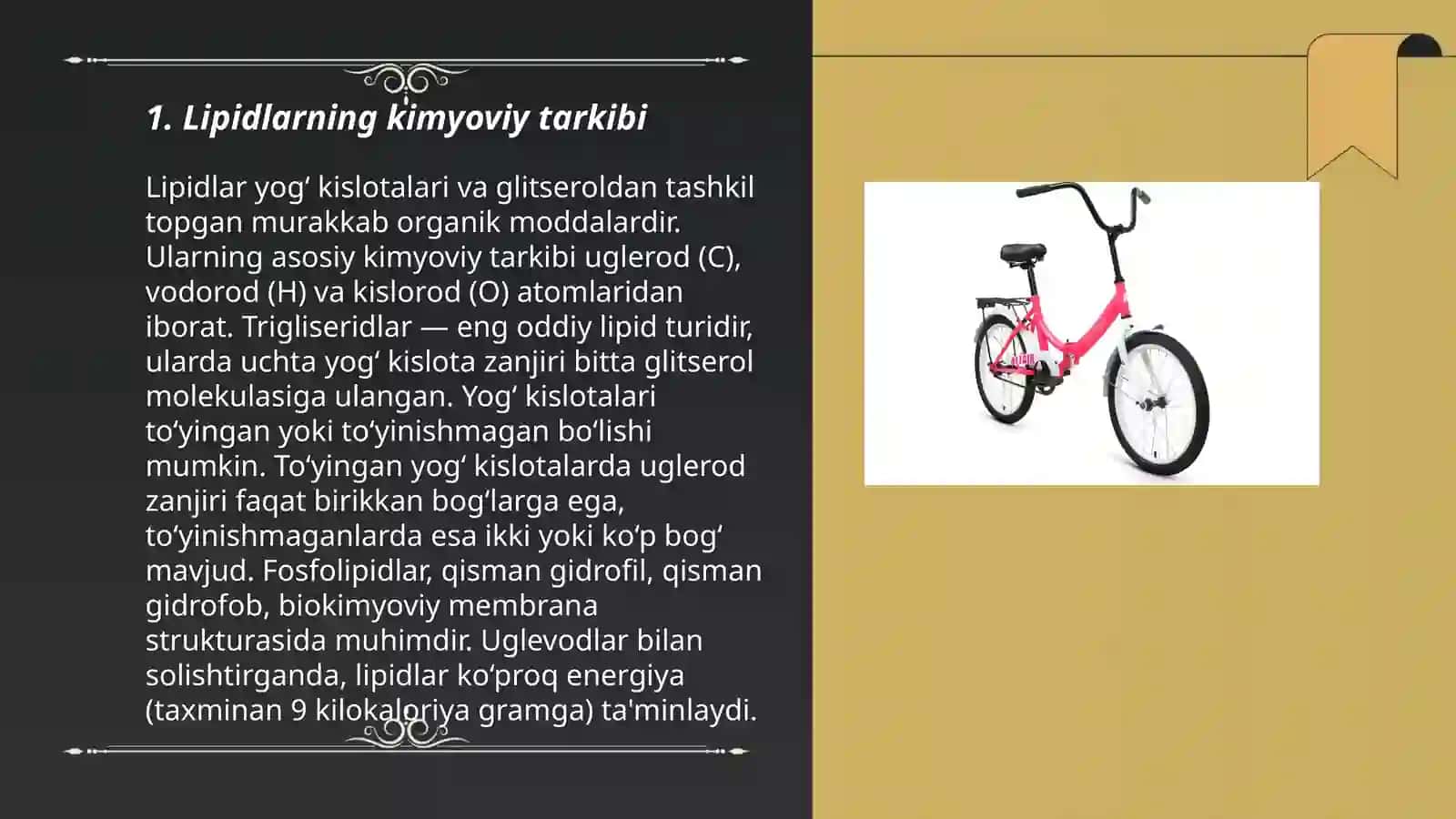 Lipidlarning kimyoviy tarkibi 3