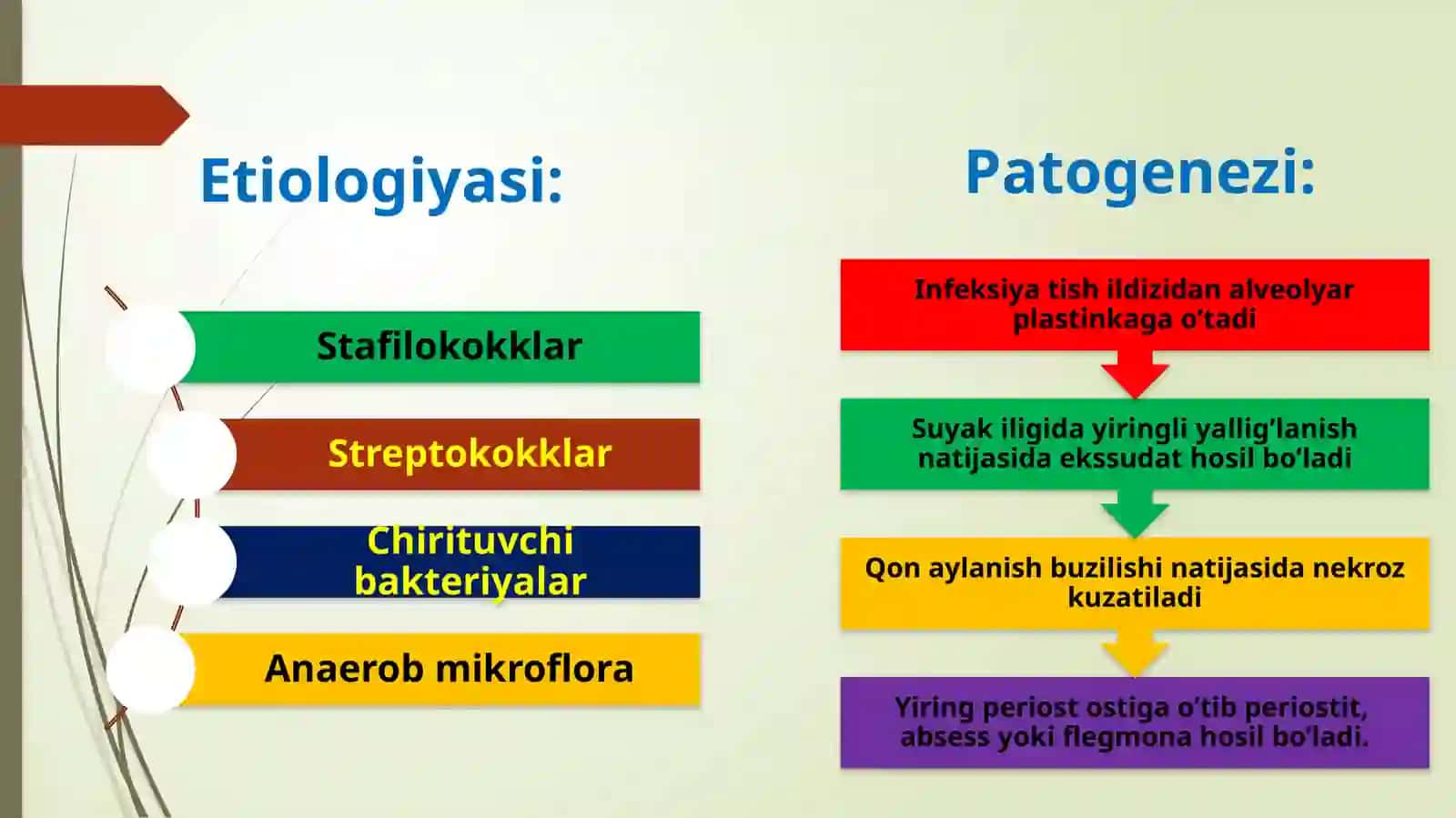 Pastkijag’ning tanasivash o'xidagi kechayot g'an o'tkirosteomiyeliti 3