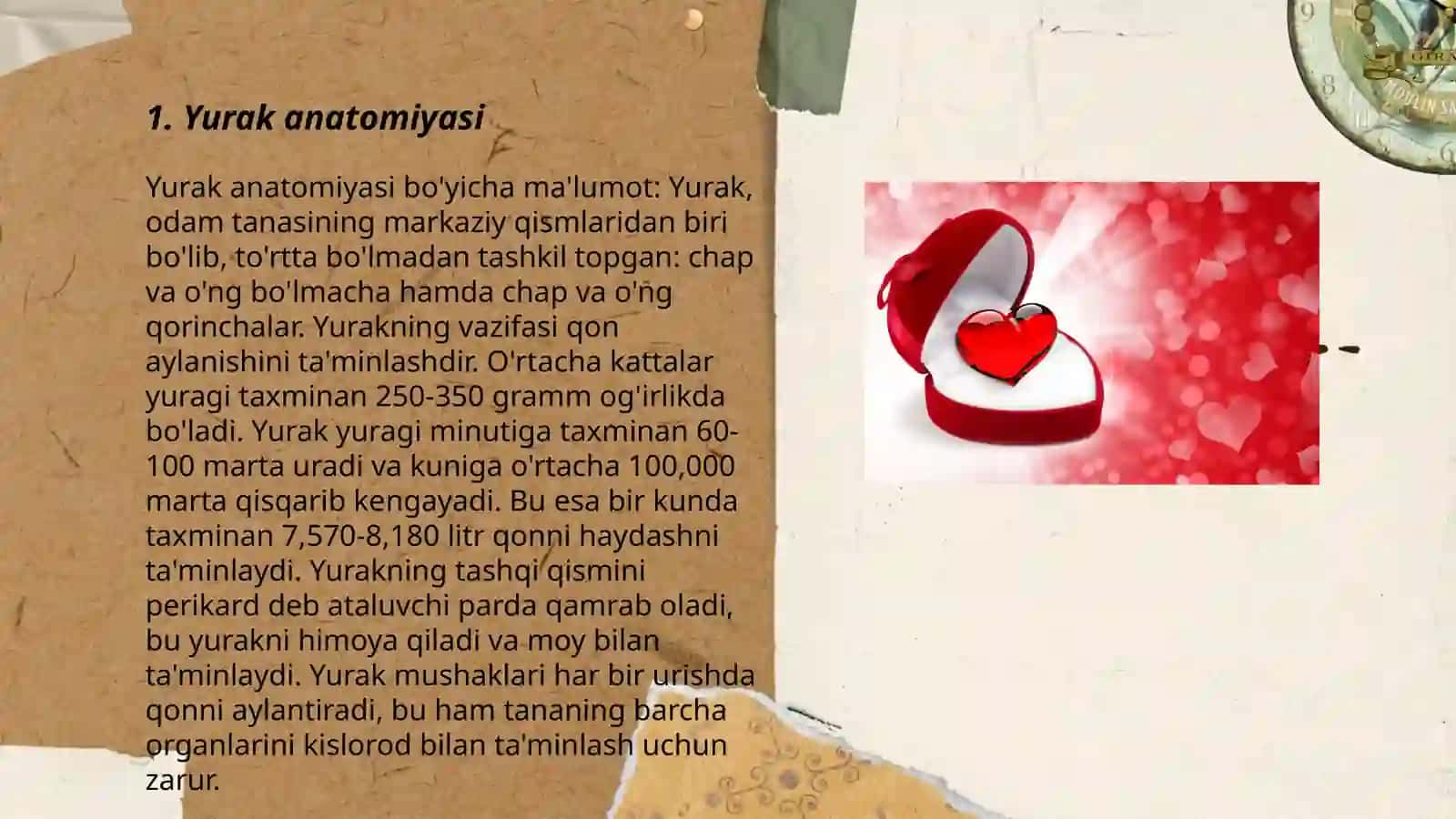 Yurak anatomiyasi 3