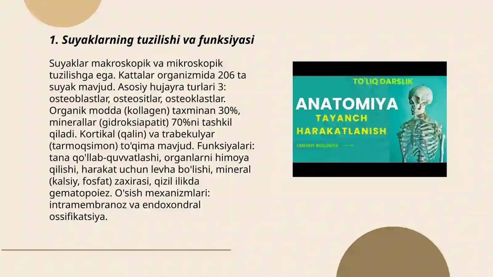 Suyaklarning tuzilishi va funksiyasi 3
