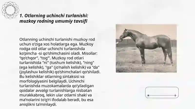 Otlarning uchinchi turlanishi.Mujskoy rod(lotin tilida) 3
