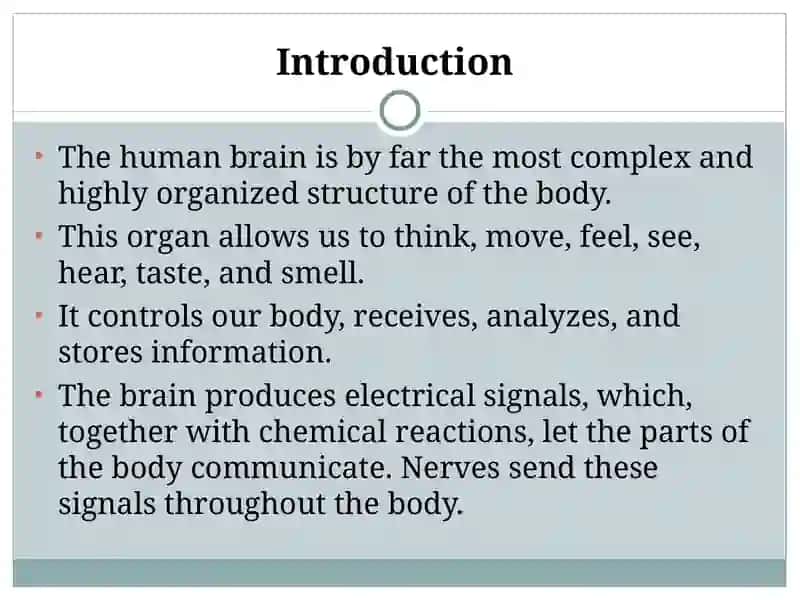 THE HUMAN BRAIN 3