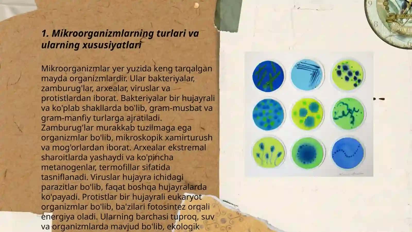 Mikroorganizmlar biotexnologiyasi 3