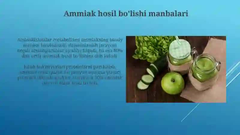 Ammiakni hosil bolishi va zararsizlantirish yollari 3