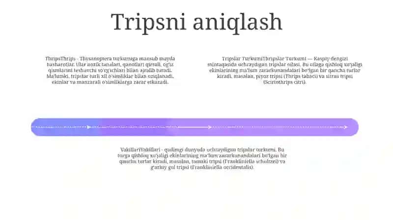 Tripslar Turkumi Va Vakillari 3