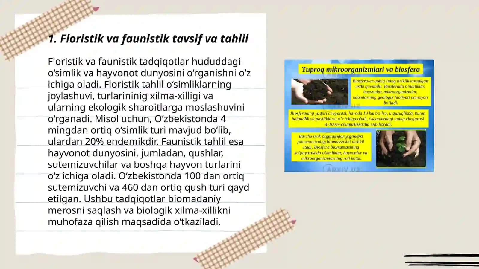 Floristik faunistik va biotik regionlarni ajratish prinsplari va ularning tartibi 3