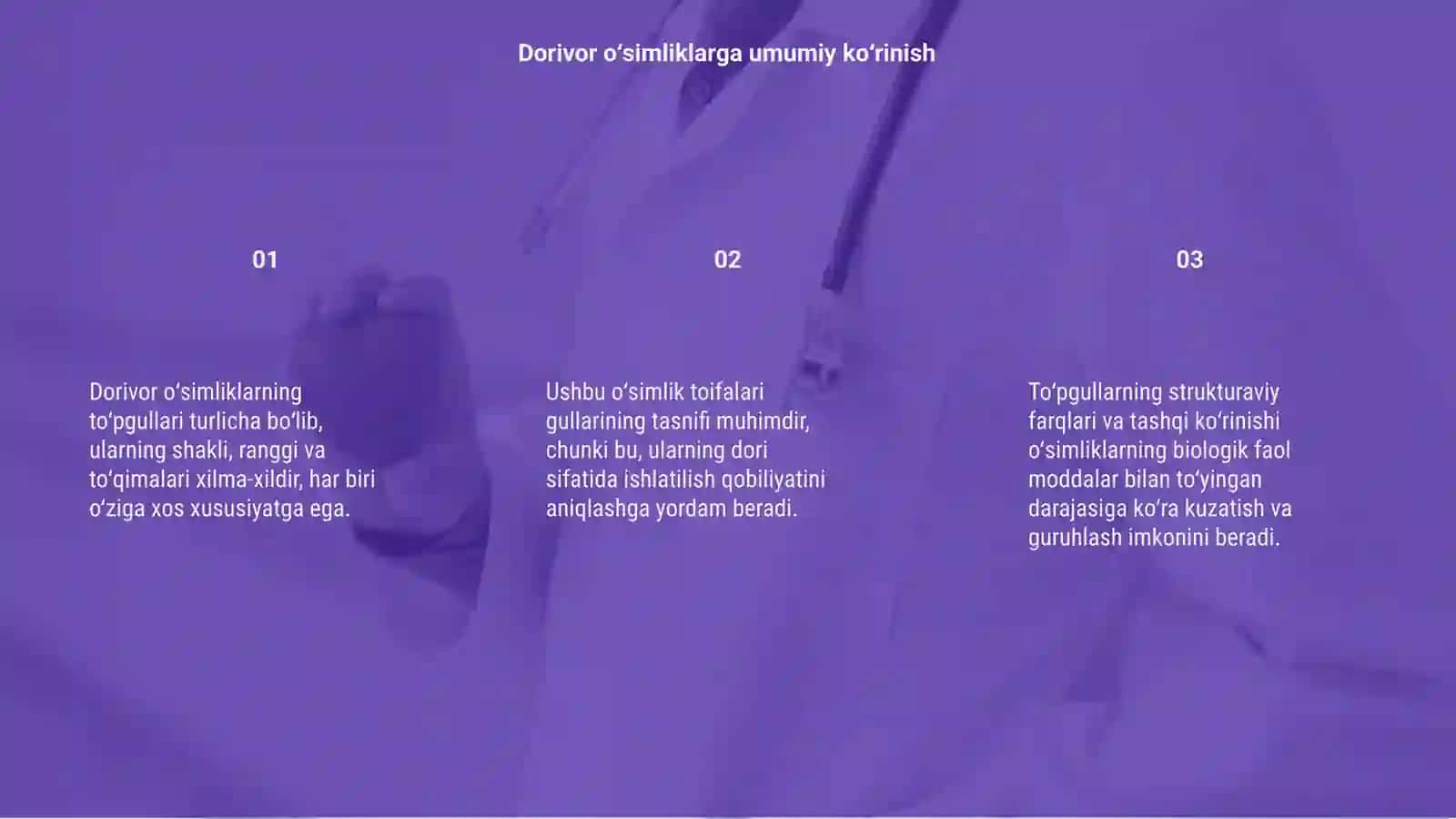 Dorivor oʻsimliklarning toʻpgullari shakl va turi:kuzatuvi tasnifi 3